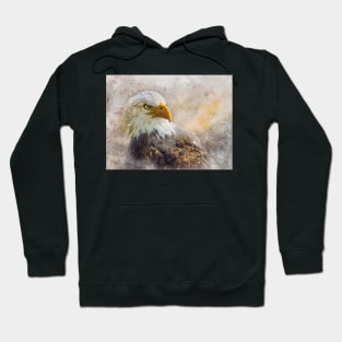 The Eagle's Stare Hoodie